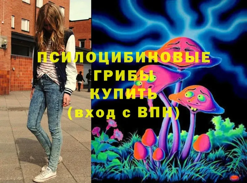 KRAKEN зеркало  Бабушкин  Псилоцибиновые грибы MAGIC MUSHROOMS 